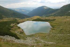 an06384.jpg