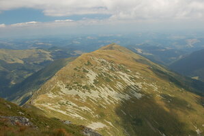 an06405.jpg