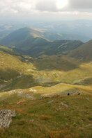 an06408.jpg