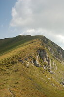 an06433.jpg