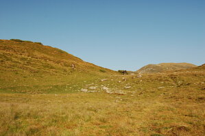 an06445.jpg