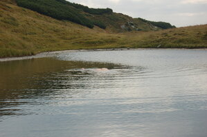 an06449.jpg