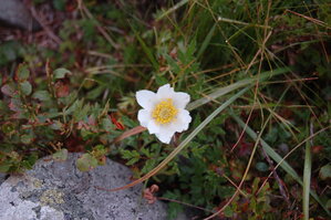 an06464.jpg