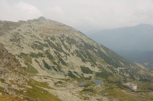 an06472.jpg