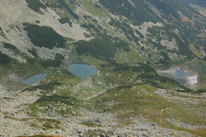 an06474.jpg