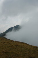 an06479.jpg