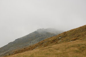 an06502.jpg
