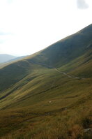 an06537.jpg
