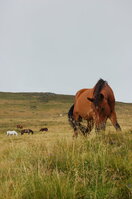 an06542.jpg