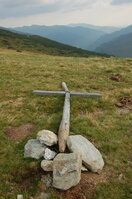 an06549.jpg