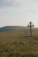 an06559.jpg