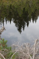 an06584.jpg
