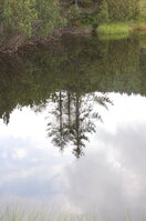an06587.jpg