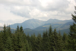an06597.jpg
