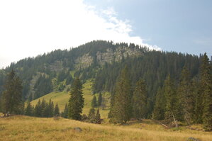 an06599.jpg