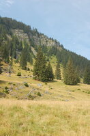 an06600.jpg