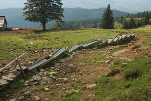 an06608.jpg