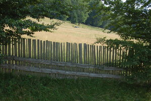 an06609.jpg