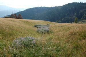 an06614.jpg