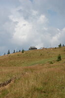 an06615.jpg