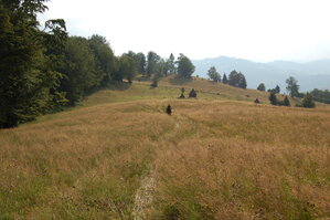 an06624.jpg