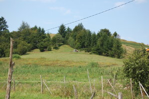 an06645.jpg