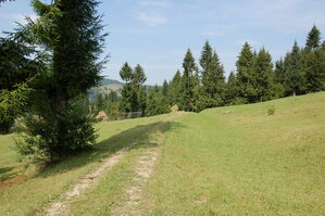 an06652.jpg