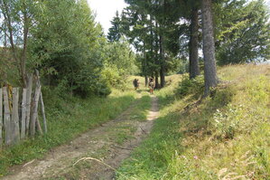 an06656.jpg