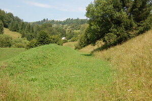 an06660.jpg