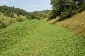 an06661.jpg