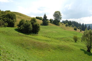 an06665.jpg