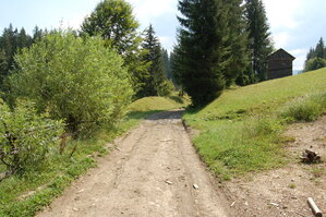 an06671.jpg