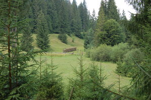 an06672.jpg