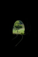 an06682.jpg