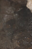 an06726.jpg