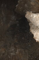 an06727.jpg