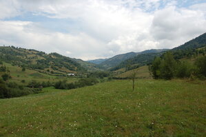 an06741.jpg
