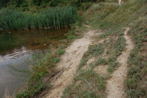 an06871.jpg