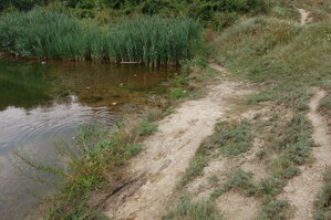 an06872.jpg