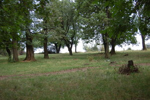 an06884.jpg