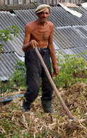 an06886a.jpg