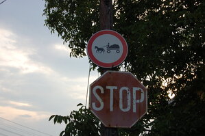 an06890.jpg