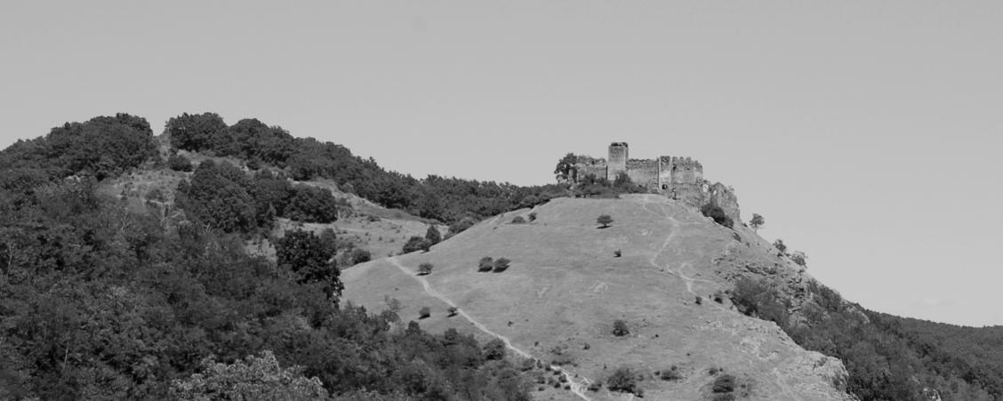 Hrad Šoimoš.