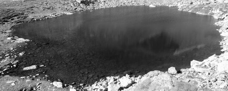 Pleso Caltun.