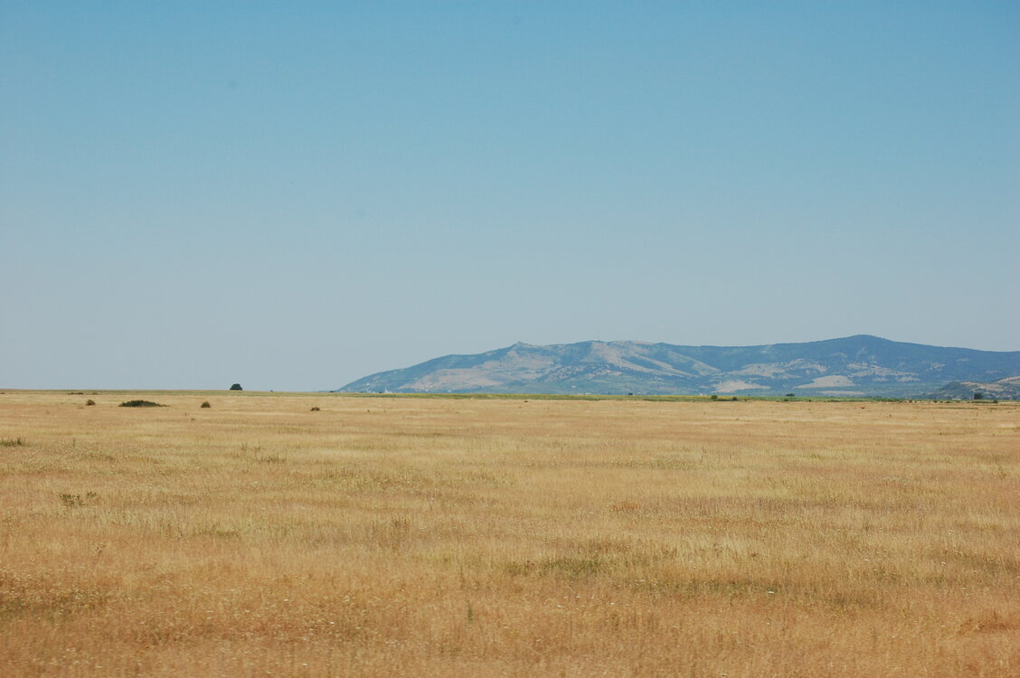 an1_014915.jpg