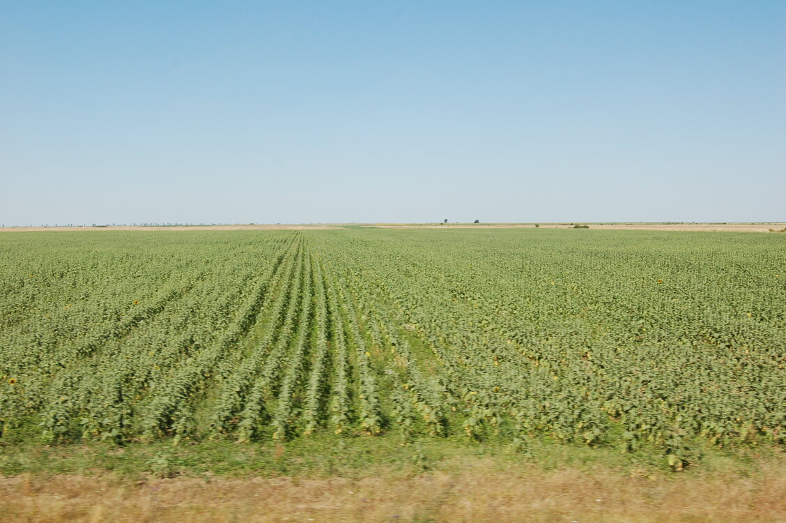 an1_014917.jpg
