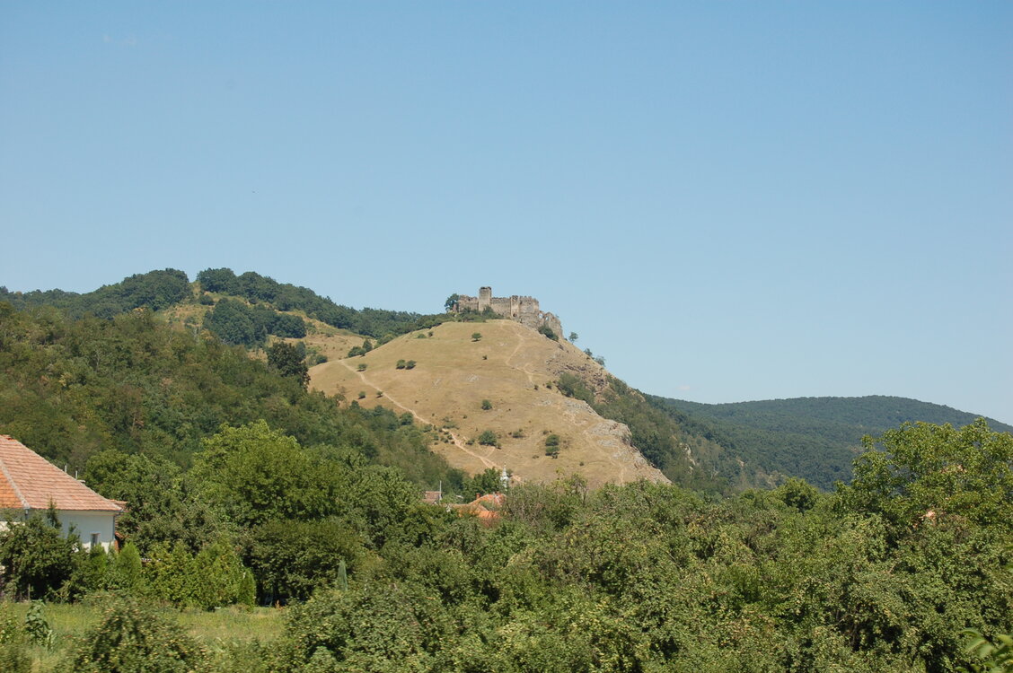 an1_014918.jpg