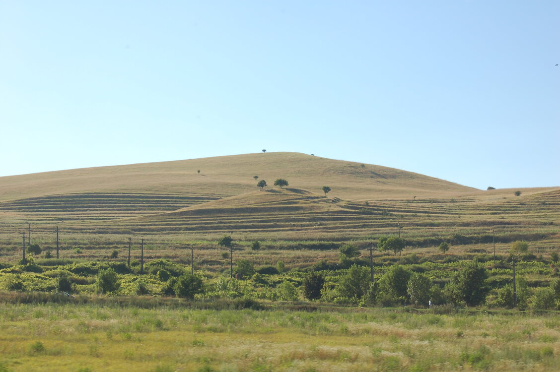 an1_014938.jpg