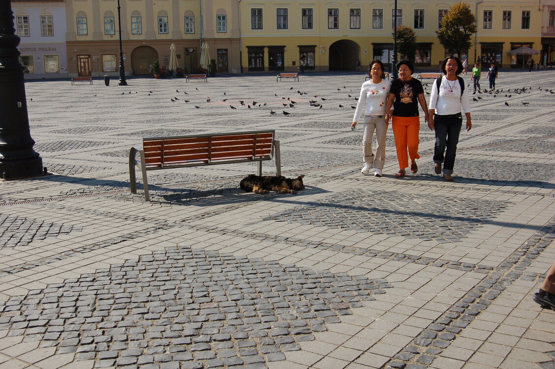 an1_014981.jpg