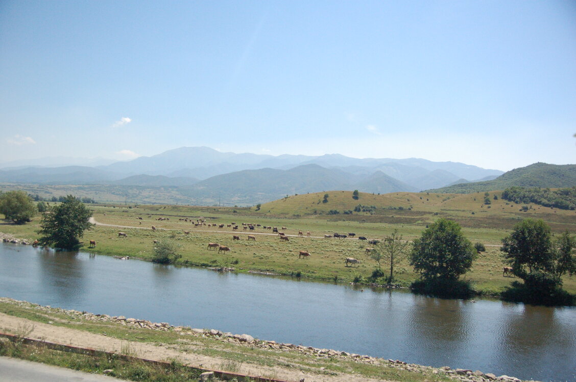 an1_015011.jpg